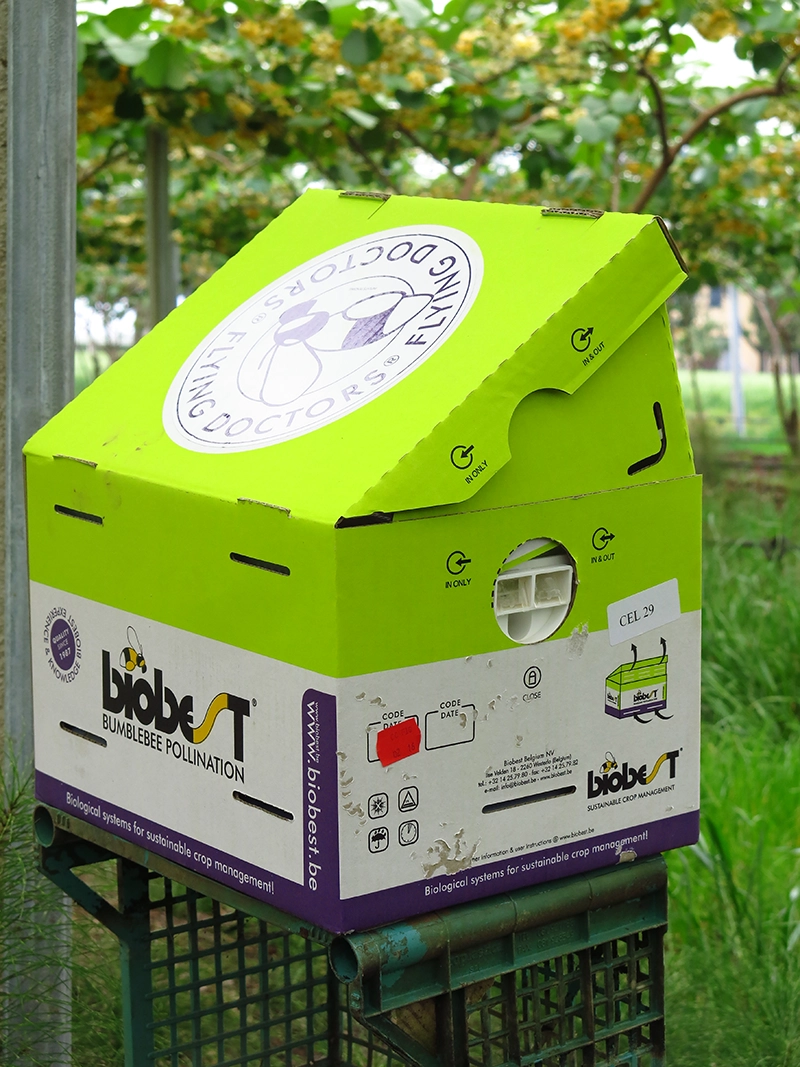 Ruche Biobest Flying Doctor